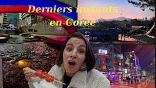 Vlog 5  Derniers jours en Corée folles journées [upl. by Dareece]