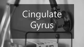 Learn how to pronounce Cingulate Gyrus [upl. by Notlok]