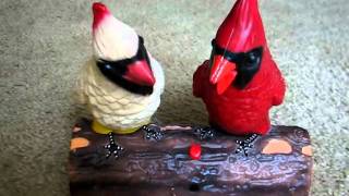 Singing Cardinal Couple [upl. by Nathalia]