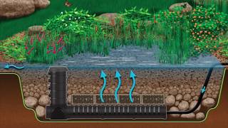 Perfect Koi fish pond filtration  everything you need to know [upl. by Assenahs]