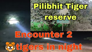 ENCOUNTER 2 Tigers in Pilibhit Tiger Reserve 🐅wild tiger [upl. by Solomon]