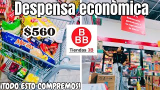 🚨ASI LOGRO AHORRAR EN DESPENSA🛒DESPENSA ECONÓMICA de la tienda 3b🔔COMPRÓ LO QUE ME RECOMIENDAN [upl. by Lindeberg99]