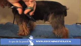 How To Groom A YorkieTrim The Yorkshire Terrier Traditional CutGrooming With Andis Clippers [upl. by Ahsinev]