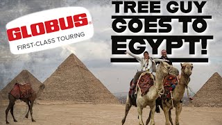 My Dream Trip To Egypt  The Cairo Experience [upl. by Nataniel]