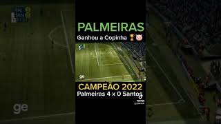 Palmeiras campeão da copinha 2022  4 x 0 Santos  gols copinha shorts campeao palmeiras [upl. by Gaw781]