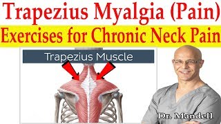 Trapezius Myalgia Caused From Forward Head Posture Best Corrective Exercises  Dr Mandell DC [upl. by Aneles]