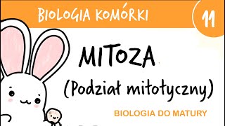 Cytologia 11  Mitoza podział mitotyczny  biologia do matury rozszerzona przygotowanie egzamin [upl. by Deegan653]