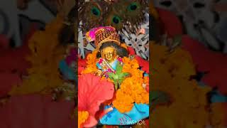 Aj subh ki Pooja Hamare kanha ki🥰❤️🌼ldugopal hindugod minivlog music [upl. by Jael]