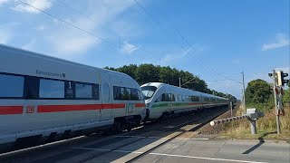 Züge in Salzwedel Fleetmark und Magdeburg am Samstag 3182024 ICET Doppeltraktion [upl. by Ahtelat2]