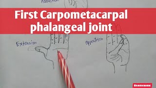 First Carpometacarpal phalengeal joint  upper limb  Anatomy [upl. by Otrebron]