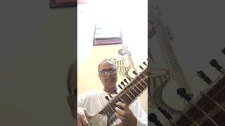 Vivek Limkar sitar song jaare ja re ud ja re panchhi [upl. by Sidonius]