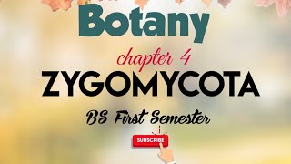 Zygomycota Botany Chapter 4 Bs first semester biologystudy [upl. by Aicnom]