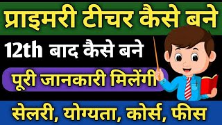 Primary teacher kaise bane after 12th  How to become primary teacher 2020  Primary teacher salary [upl. by Yelsehc84]