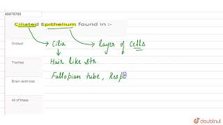 Ciliated Epithelium found in [upl. by Edmunda]