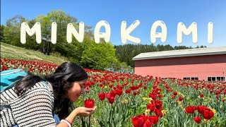 Complete Tour Guide to Minakami Norn Minakami flower garden Takaragawa Onsen Mount Tanigawa [upl. by Arabella]