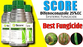 Score fungicide  Score fungicide Syngenta  Syngenta Score fungicide [upl. by Eeimaj]