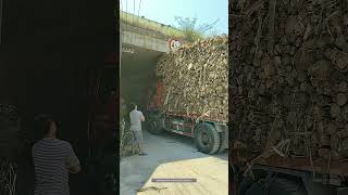 Process Of The Truck Loaded With Wood Passing Through The Bridge Opening [upl. by Agamemnon315]