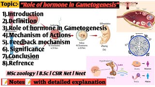 Role of hormone in Gametogenesis [upl. by Anihpled]