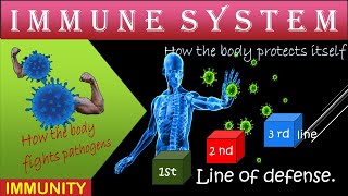 The Immune System  NonSpecific and Specific immunity  How the body fights Viruses Pathogens [upl. by Nnanaej55]