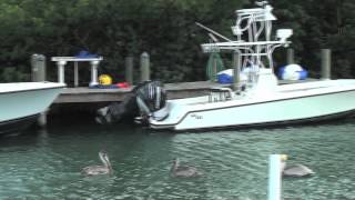 Silent Hunter Fishing Charter  Marathon Florida Fishing Charter [upl. by Oicatsana348]