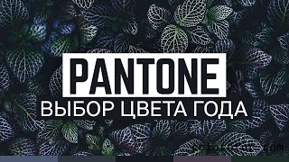 Цветовая алхимия Pantone Цвет года 2024 раскроется в ТАЙНОЙ комнате 💄🔮 [upl. by Magnus524]