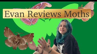 Evan Reviews Moths [upl. by Ema884]