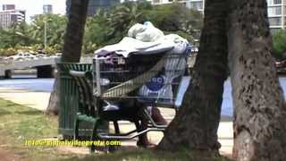 WHY 6000 HOMELESS IN HAWAII TRAVEL CULTURE ADVENTURE [upl. by Yllus]