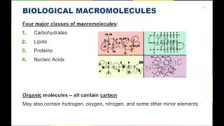 Chapter 3  Biological Macromolecules [upl. by Orihakat]