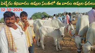 పెబ్బేరు శనివారం ఆవుల సంతలో ఈ వారం ఆవుల ధరలు  Pebbair cow market  cow ‎purnafarms [upl. by Claudia]