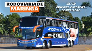 Movimentação de ônibus na Rodoviária de Maringá 14  Diversos modelos no fluxo do feriado de 1210 [upl. by Acemahs]