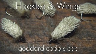 Fly Tying Goddard Caddis CdC  Hackles amp Wings [upl. by Ailime]