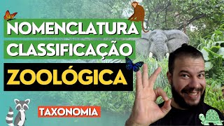 Nomenclatura e classificação dos animais taxonomia zoológica [upl. by Nahtaoj621]