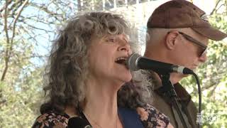 The McCallion Band  Go to Ground  Tucson Folk Festival 2023 [upl. by Idelia]