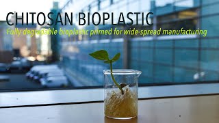 Chitosan Bioplastic [upl. by Arotak]