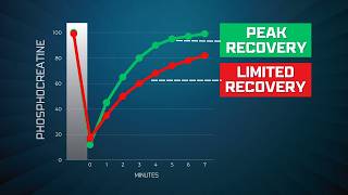 The Hidden Downside of Always Training Too HARD Science Explained [upl. by Olim]