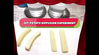 POTATO DIFFUSION EXPERIMENT GCSEIGCSEASA LEVELCBSE [upl. by Aerda]