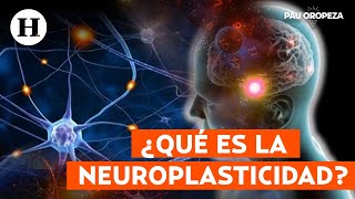 Neuroplasticidad  Reprograma tu cerebro para ser tu mejor versión  Numerología con Pau Oropeza [upl. by Thorndike]