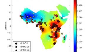 Prevalence of antimalarial drug resistance markers dhfr gene for sulphadoxine pyrimethamine [upl. by Aniluj]