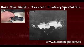 HIKMICRO THUNDER TQ50 THERMAL SCOPE FIRST LOOK with ben from huntthenightcomau [upl. by Adnirak172]