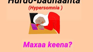 Maxaa keena hurdobadnaantahypersomnia [upl. by Favin]