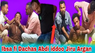 Ibsa fi Dachas Abdi iddoo Jiru Argan [upl. by Ahsille231]