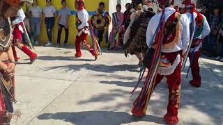 Los voladores de Cuetzalan Puebla [upl. by Fanny]