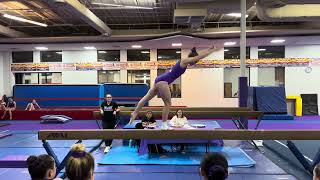 Xcel Platinum 9500 Beam Routine  State Judges Clinic 03022024 [upl. by Ettenahs]