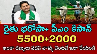 ap ysr rythu bharosa payment statusrythu bharosa new payment statusrythu bharosa 2023 [upl. by Oravla]