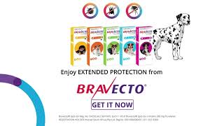 Bravecto® SpotOn For Dogs [upl. by Alexio]