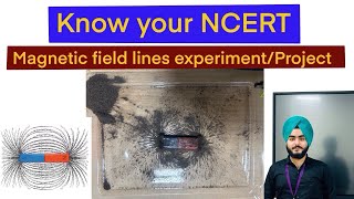 Magnetic field lines activity ExperimentScience grade 10Science project [upl. by Lanctot558]