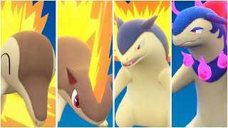 FULL CYNDAQUIL EVOLUTION TEAM Shiny Cyndaquil Quilava Typhlosion Hisuian Moveset Scarlet Violet [upl. by Htes884]