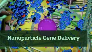 Nanoparticle Gene Delivery [upl. by Ahsataj268]