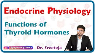 Functions of Thyroid Hormones  Endocrine physiology USMLE Step 1 [upl. by Eitsrik]