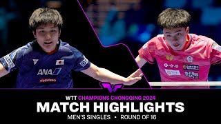 Lin Yun Ju vs Tomokazu Harimoto  MS R16  WTT Champions Chongqing 2024 [upl. by Warden]